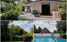 Carpe Diem, Het Ruime Chalet Met Houtkachel Nabij Wildlands Emmen